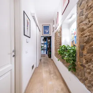 Appartamento Arte & Piante, Firenze